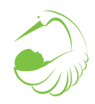 Deal 9